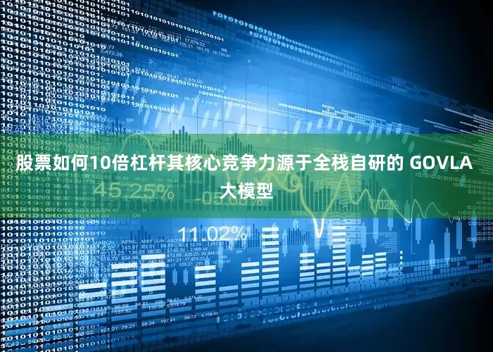 股票如何10倍杠杆其核心竞争力源于全栈自研的 GOVLA 大模型