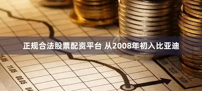 正规合法股票配资平台 从2008年初入比亚迪